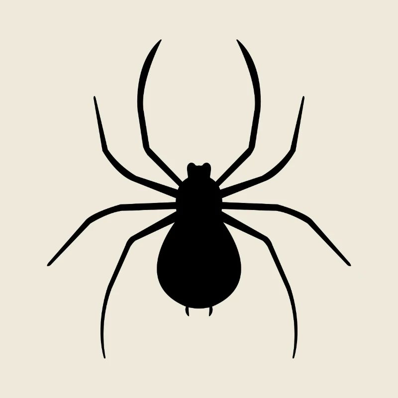Spinne