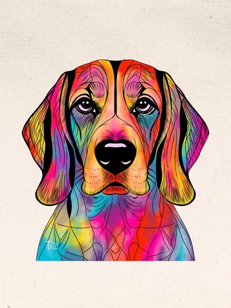 Beagle