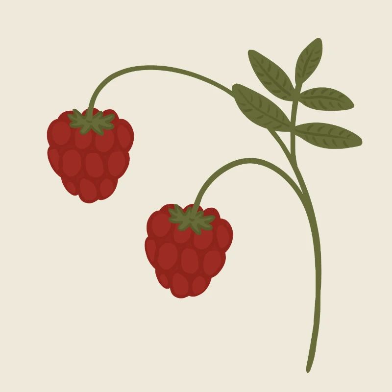 Raspberries