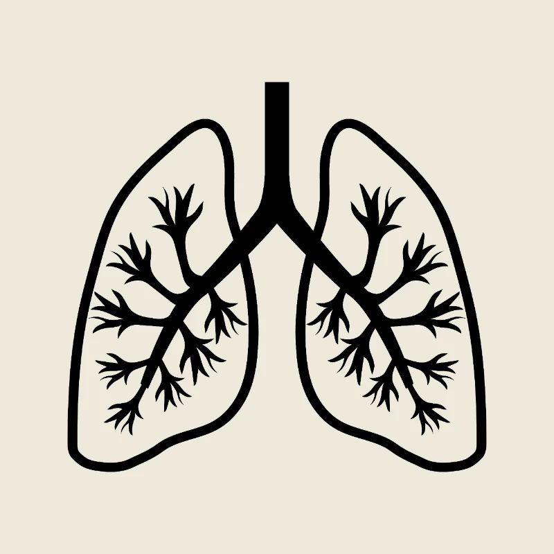 Lungs