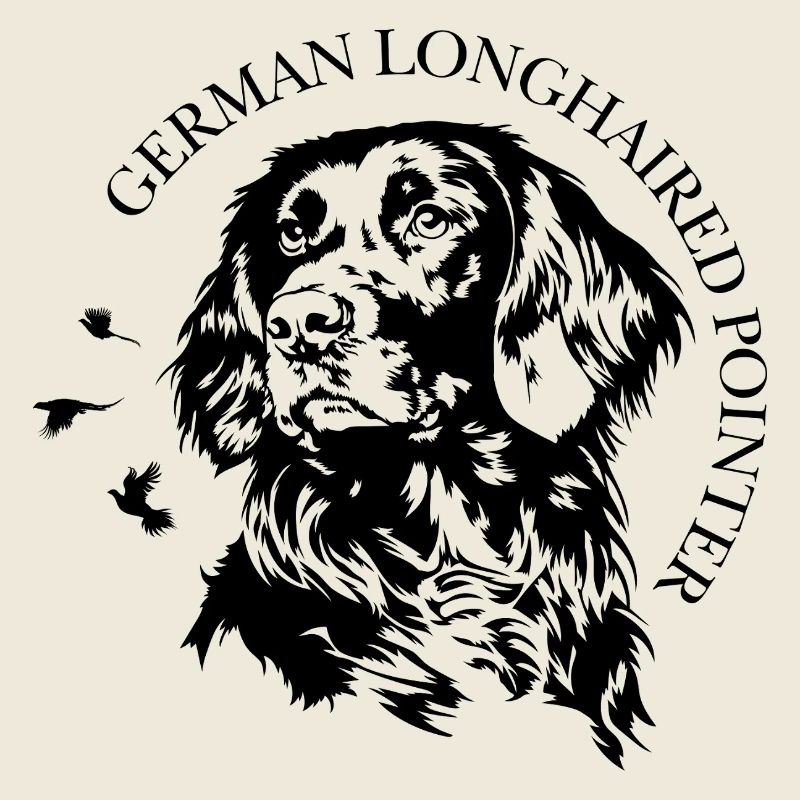 Chiens de chasse à poil long à poil long Pointers allemands Chiens Wilsigns