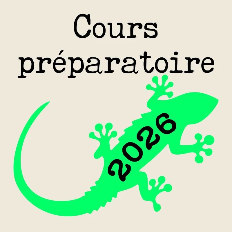 Preparatory Course 2026 School
