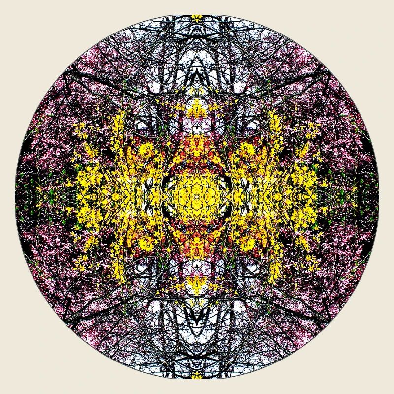 Source du Mandala de la nature dans le parc municipal