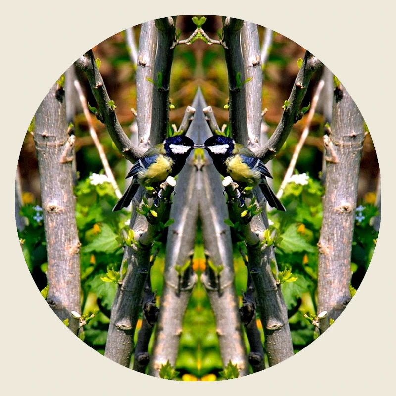 Source du Mandala de la nature dans le parc municipal