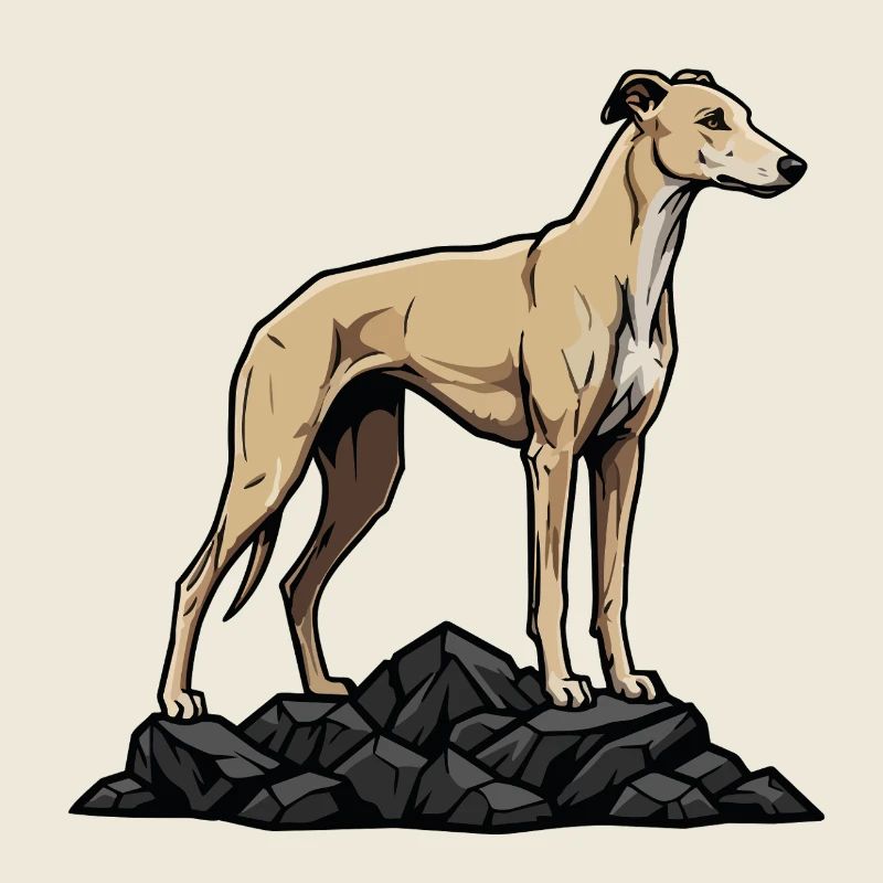 Greyhound Dog on Rock Portrait Sand Greyhound