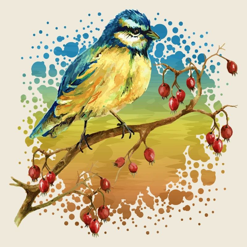 Oiseau coloré