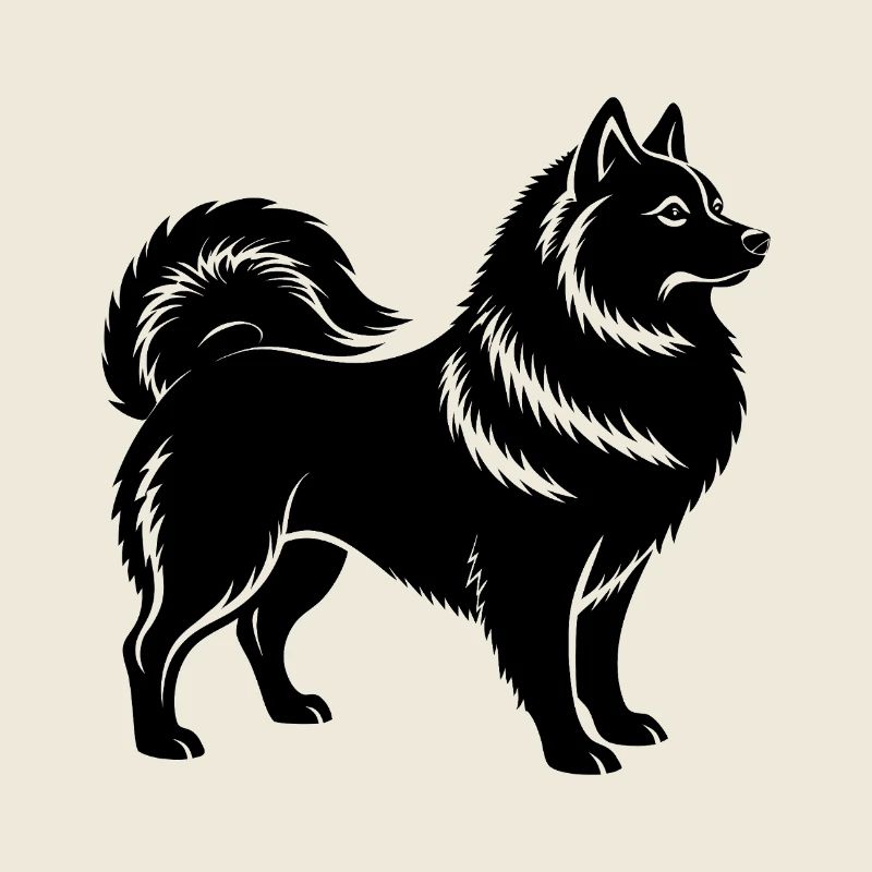 Spitz japonais