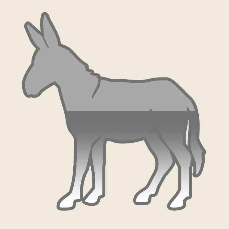 âne