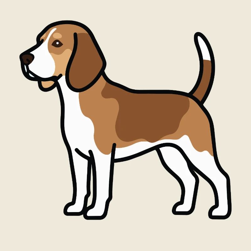 Beagle Dog