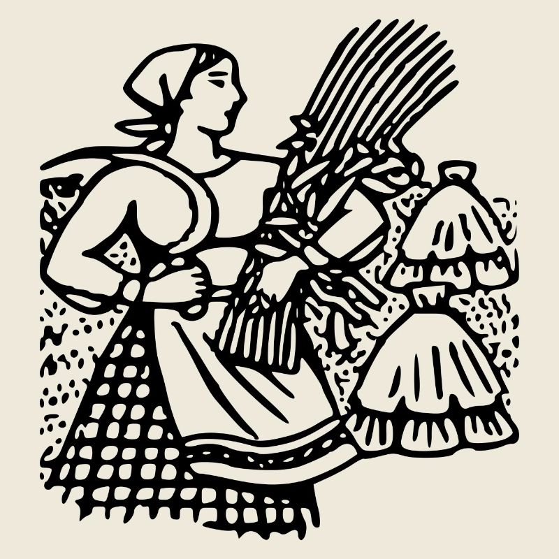 corn corn maize cereal veggie vegetables vegetables