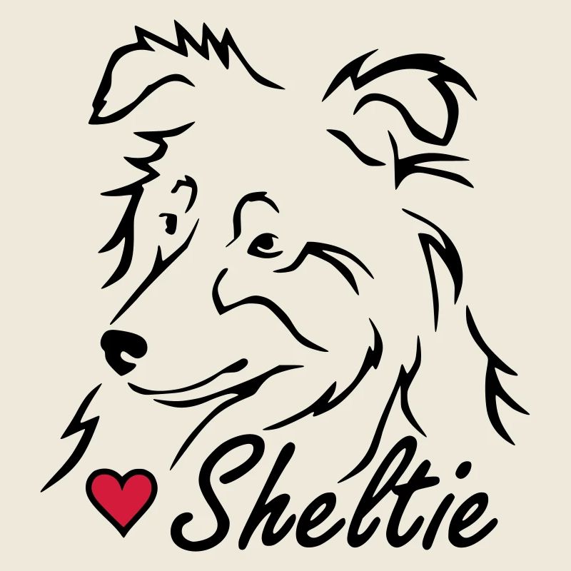 Sheltie ❤