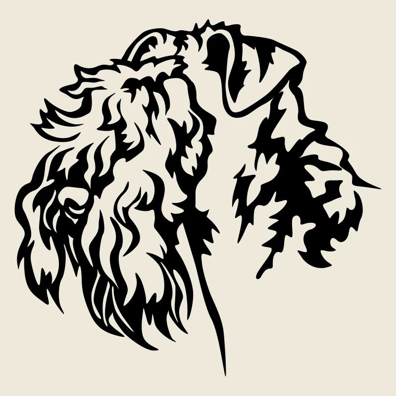 Kerry Blue Terrier Kopf