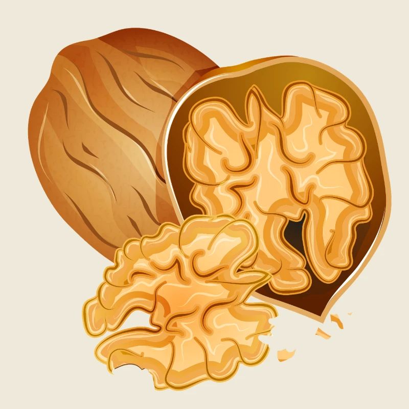 Detailed walnut with open nut