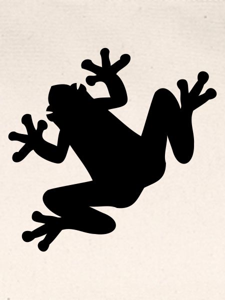 Frosch