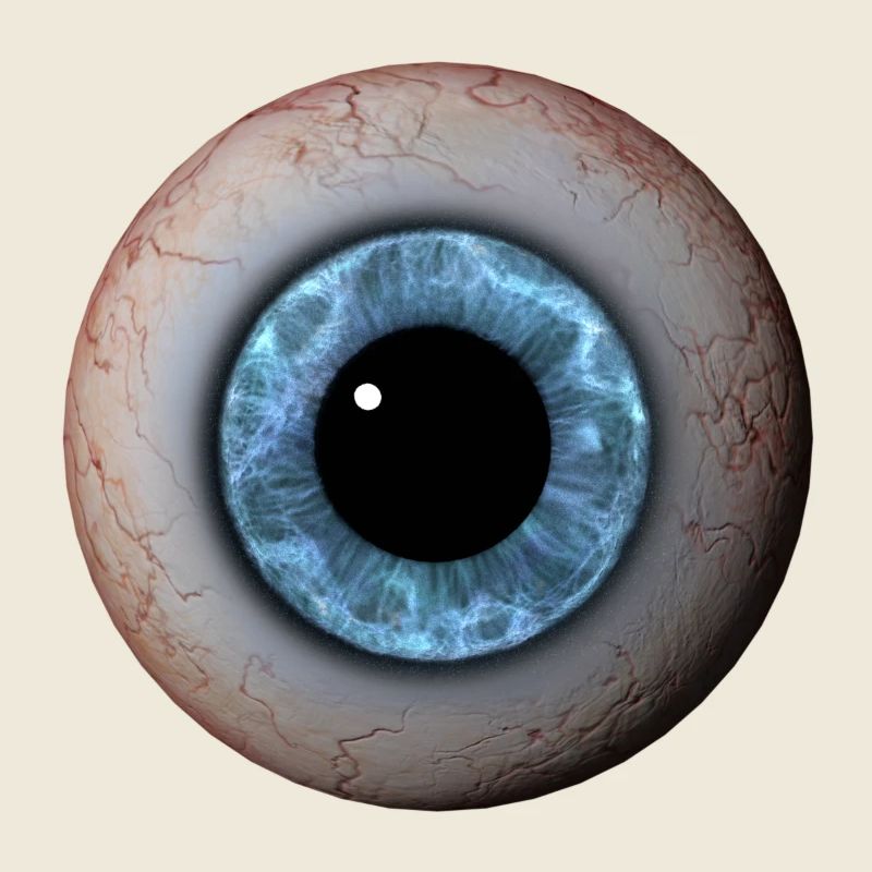 Eye Closeup Blue Iris