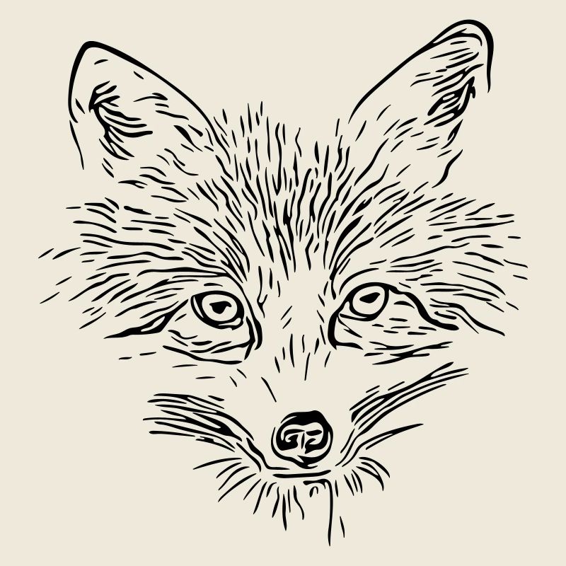 Fuchs Gesicht - Fox Face