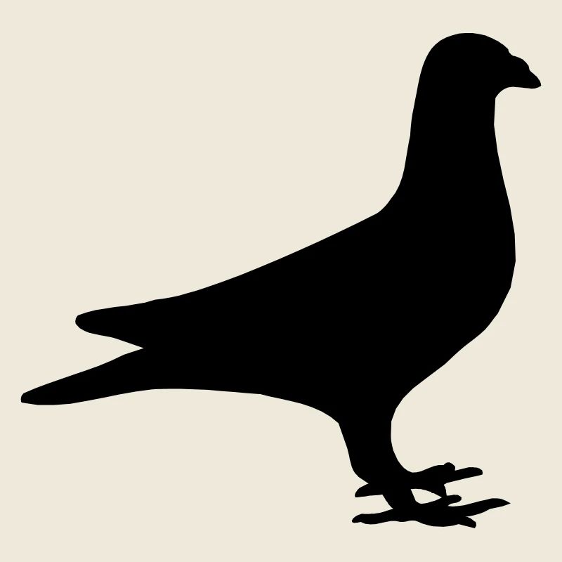 Pigeon shadow image logo carrier pigeon association