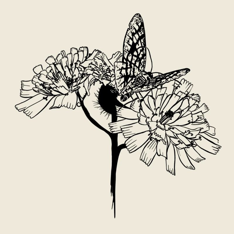 Papillon sur fleurs