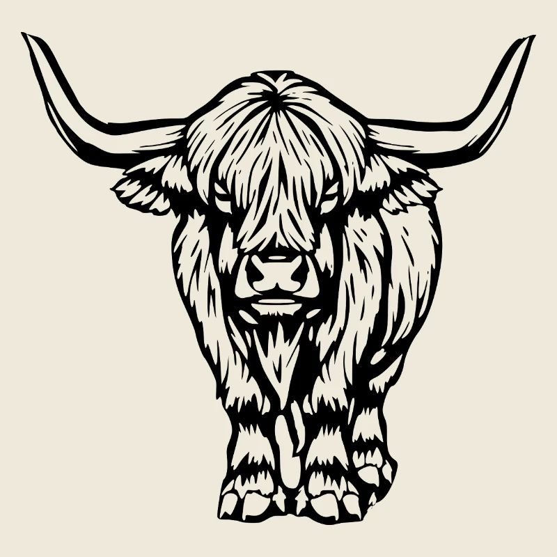 Scottish Highland cattle