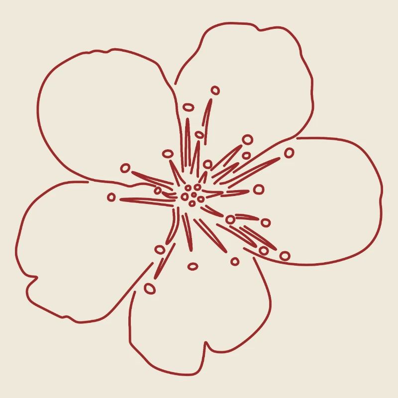 Cherry Blossom Flower Sketch