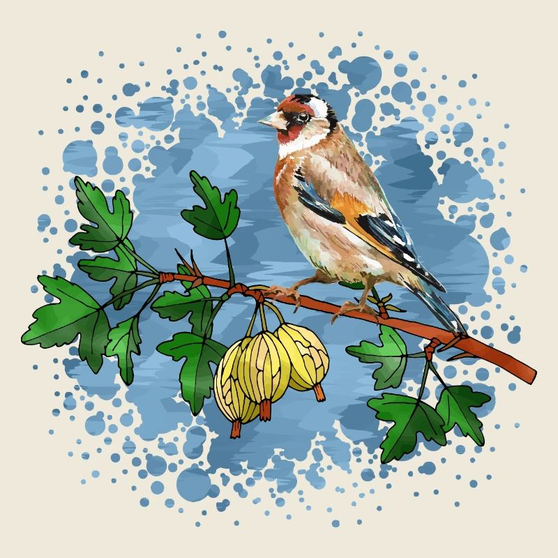 Oiseau coloré