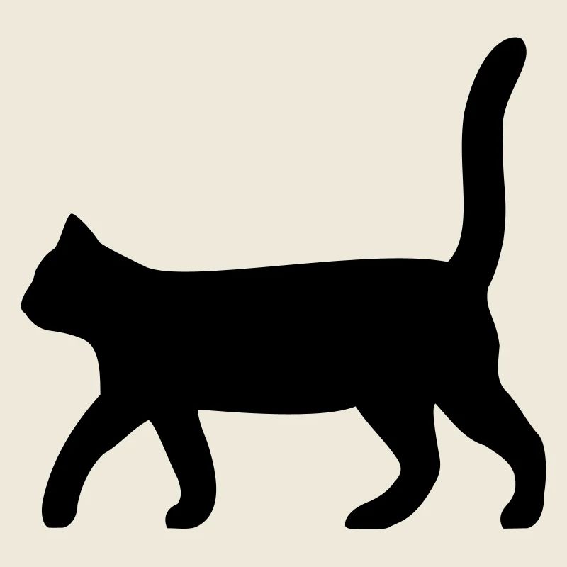 schwarze Katze
