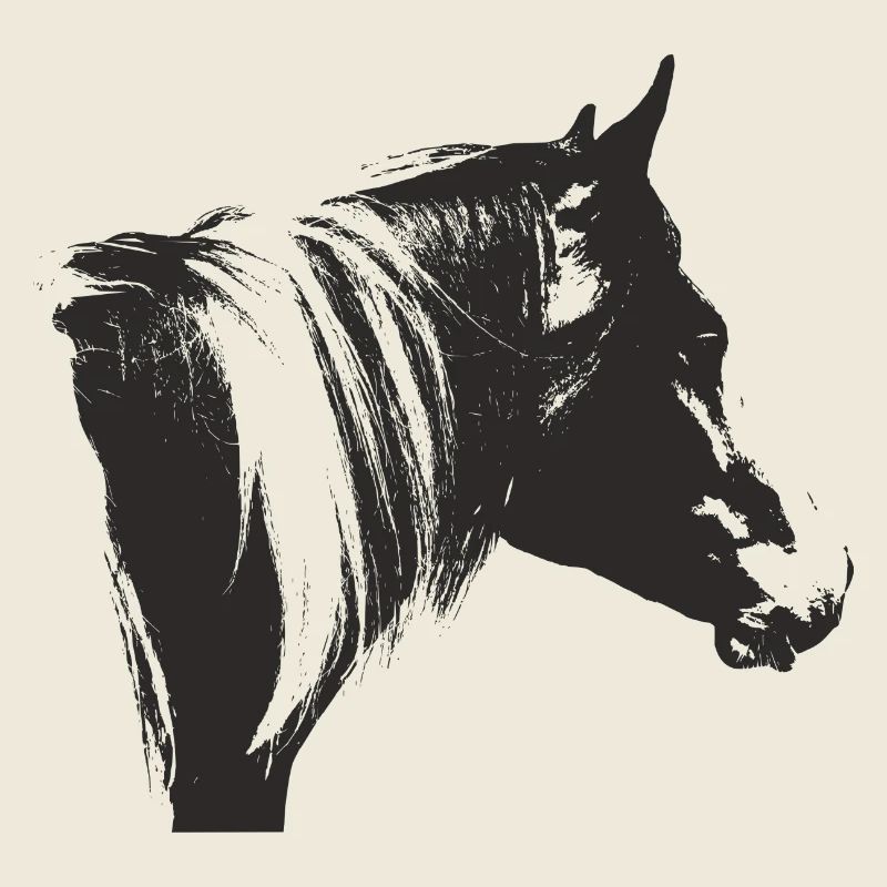 Lewitzer Schecke, Cheval Schecke, Équitation Pinto