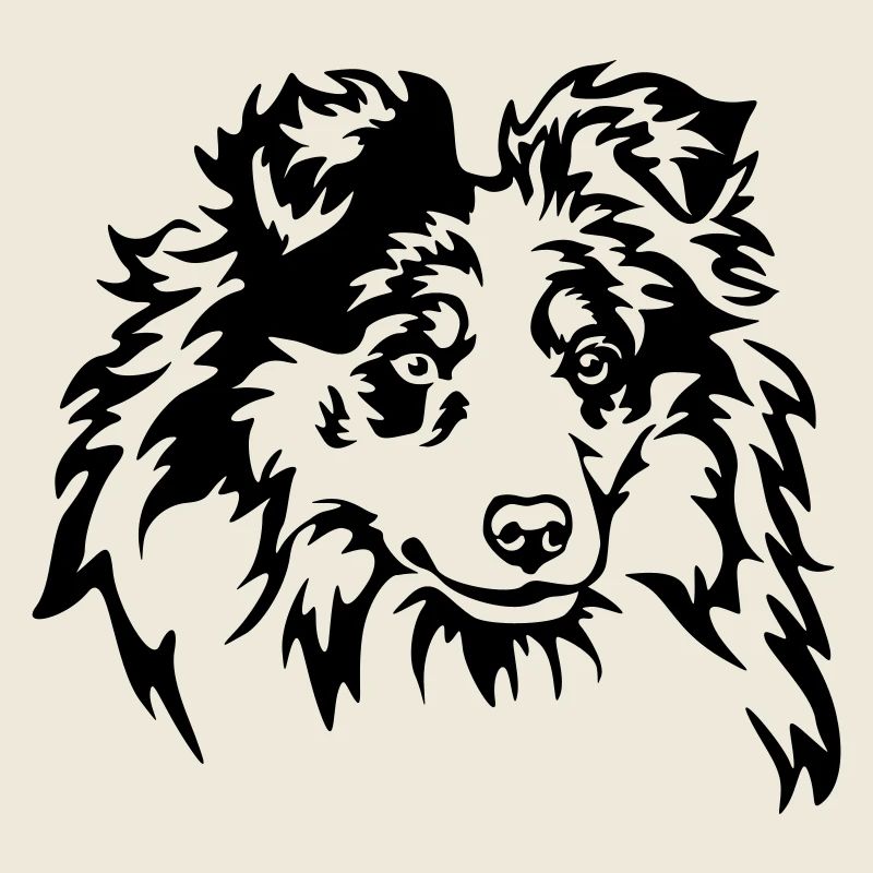 Sheltie Kopf