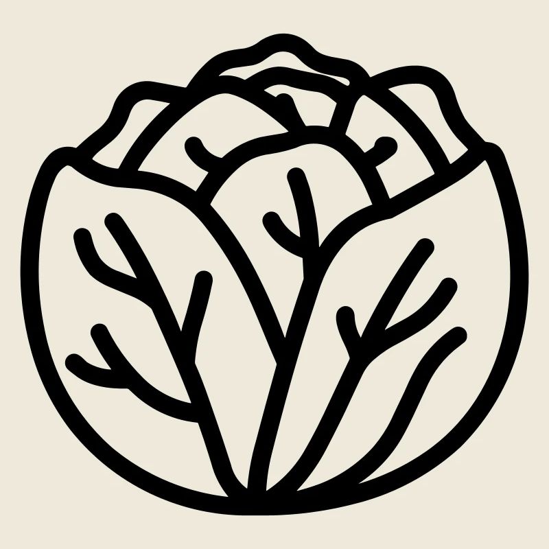 cabbage
