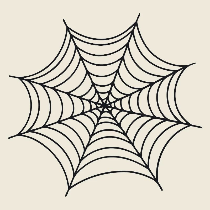 Black Minimalist Spider Web