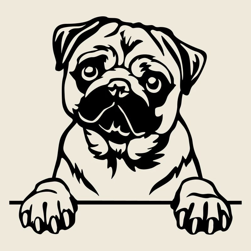 Mops Kopf