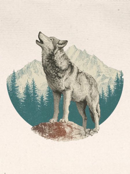 Wolf