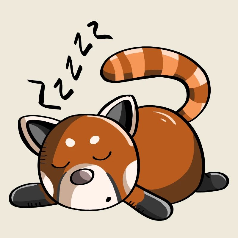 Snoring red panda panda bear is sleeping