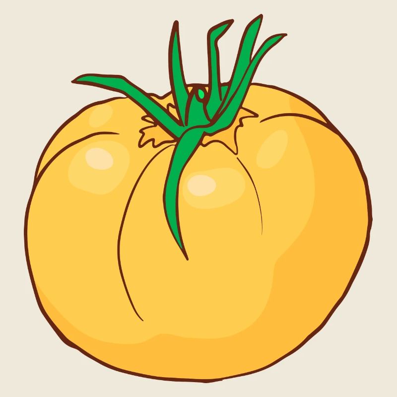 Yellow tomatoes Paradeiser