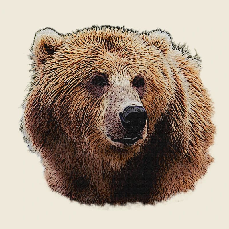 Bear Lover T-Shirts, Bear Head Night Pattern