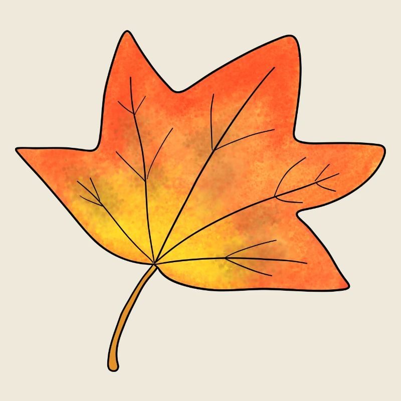 Herbst Blatt Ahornblatt