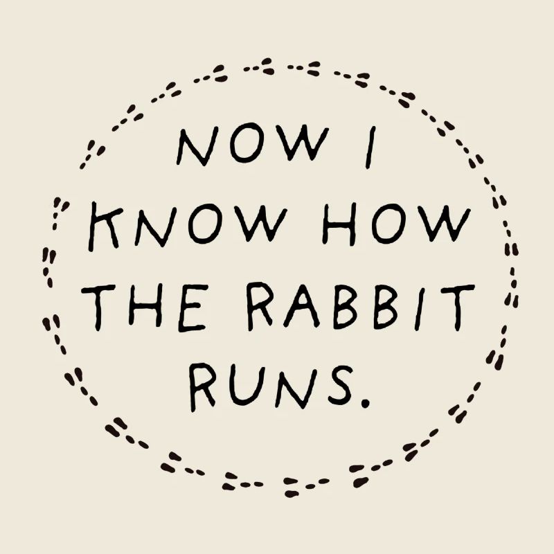 Now I know how the rabbit runs.