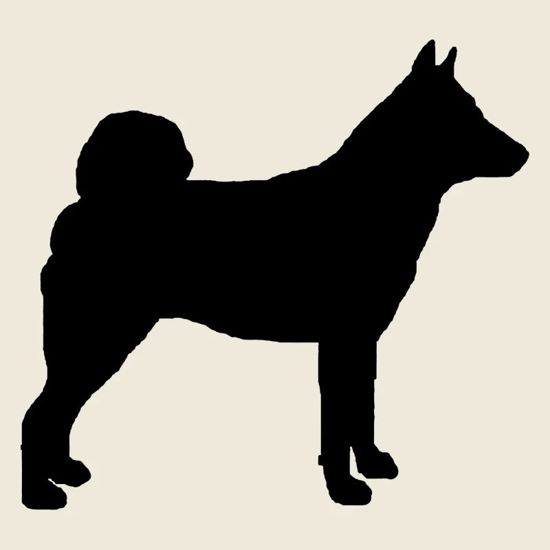 Norwegian Elkhound