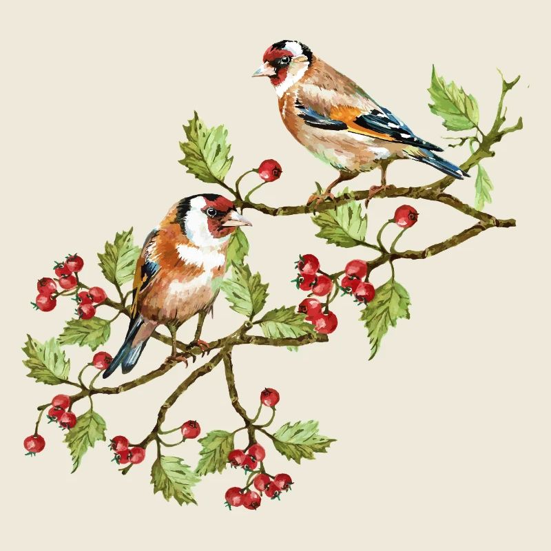 Colorful birds