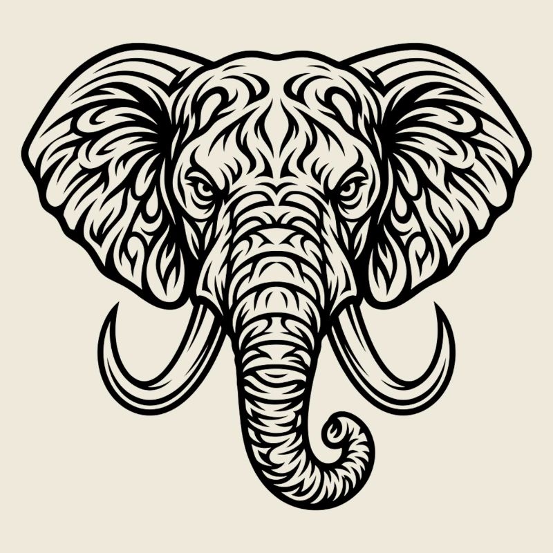 Majestueuse tête d’éléphant