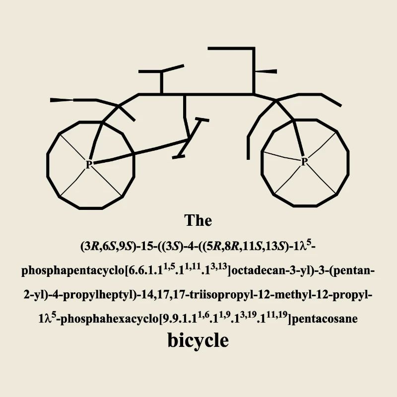 Fahrrad - bicycle