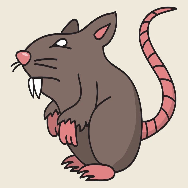 rat