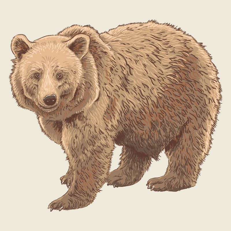 Kodiakbear