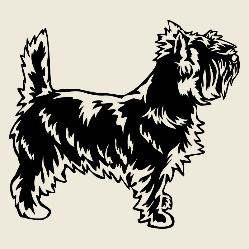 Cairn Terrier