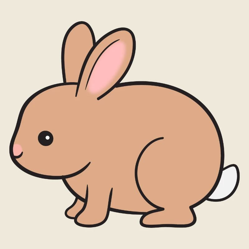 Hase Kaninchen