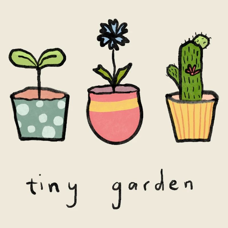 Tiny potted plants garden