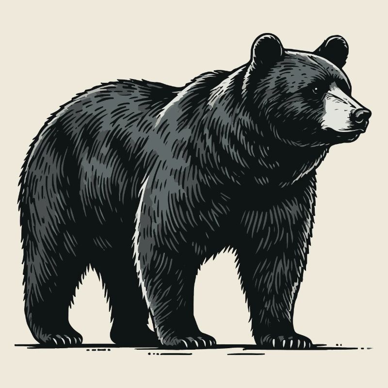 Baribal