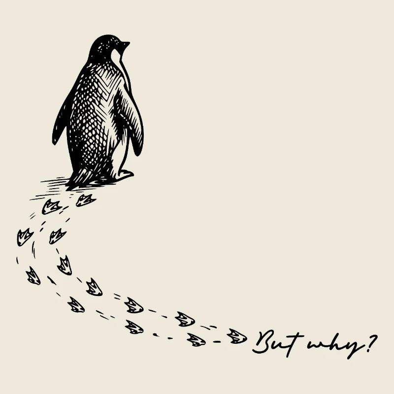 But why? Penguin Meme Footprints Doodle Doodle