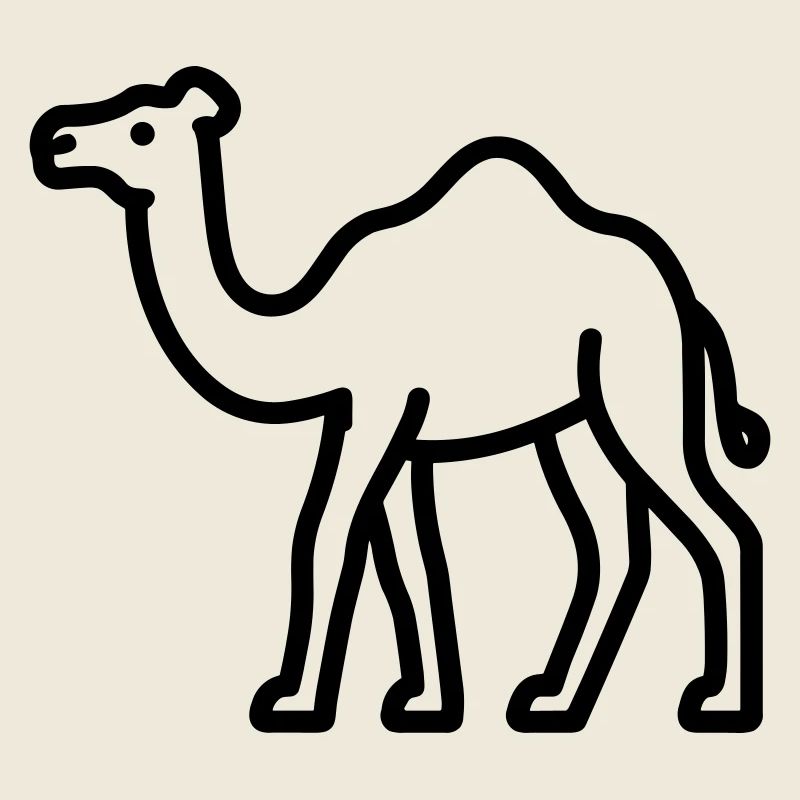 camel