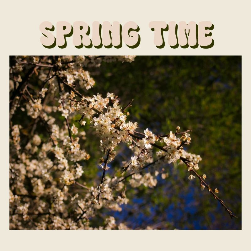 Spring Time